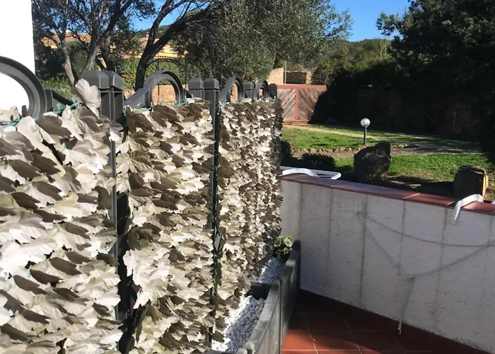 Molara Guest house *